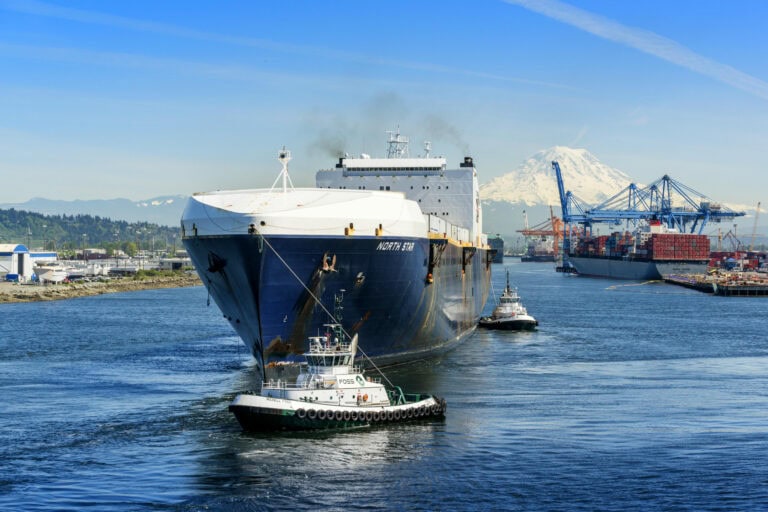 Large cargo ship in a harbor with cranes and snow-capped mountains in the background.